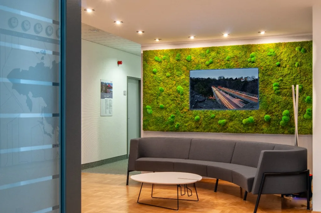 Display – d'Bomba concept